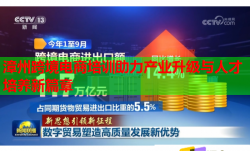 漳州跨境电商培训助力产业升级与人才培养新篇章