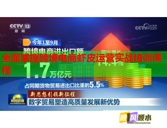 全面掌握跨境电商虾皮运营实战培训课程  第1张