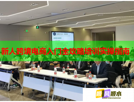 新人跨境电商入门全攻略培训实操指南  第2张