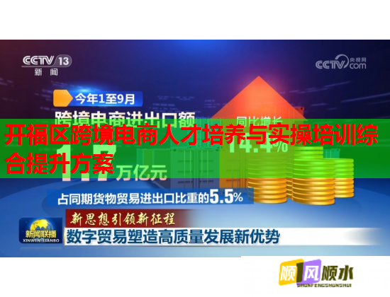 开福区跨境电商人才培养与实操培训综合提升方案  第1张