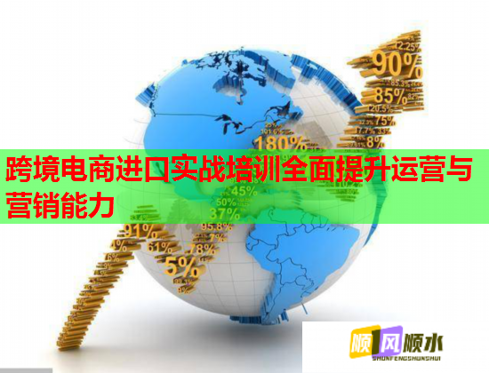 跨境电商进口实战培训全面提升运营与营销能力  第2张
