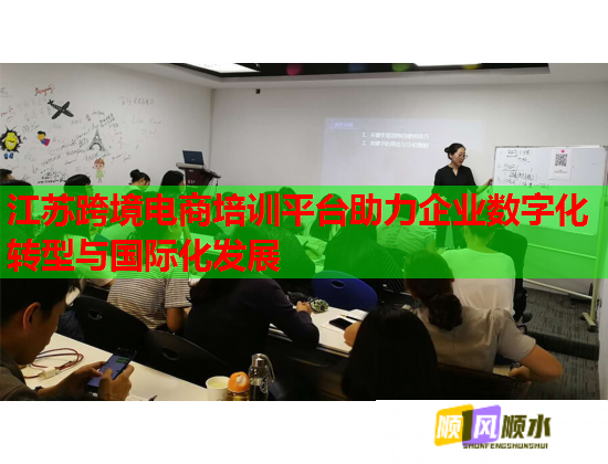 江苏跨境电商培训平台助力企业数字化转型与国际化发展  第1张