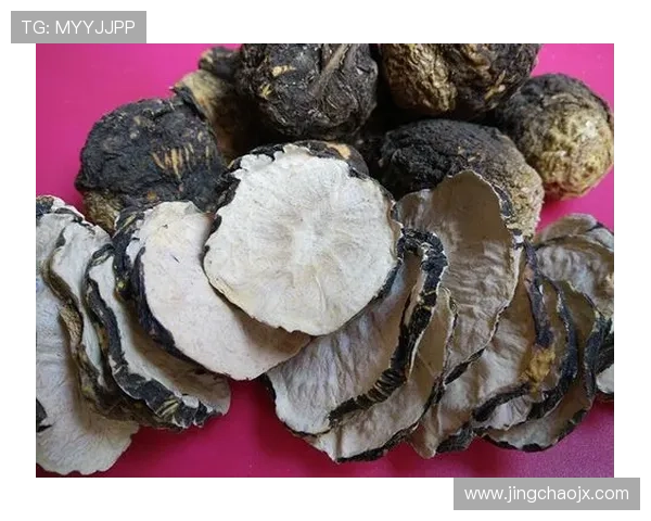 收藏秀：不止于物，更是生活态度的风雅集