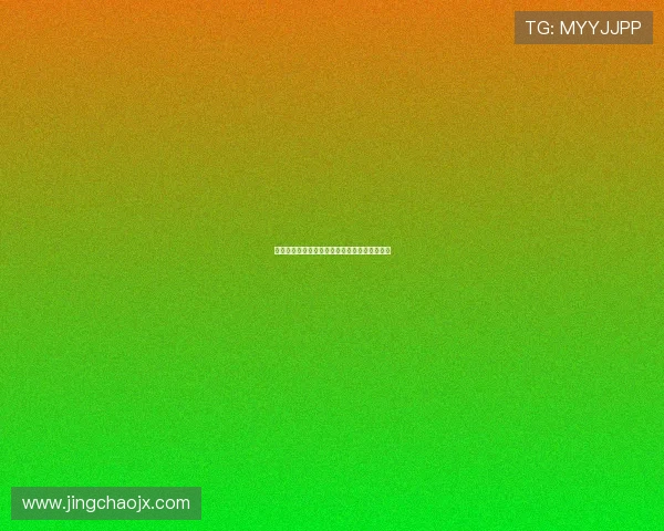 咱们的派出所：守护家园的温情脉脉与坚毅前行