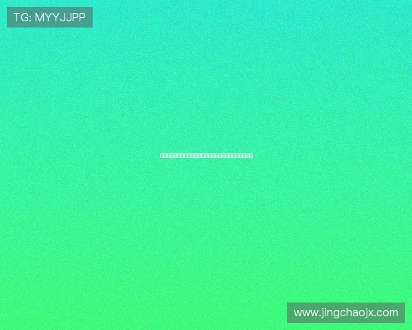 宝岛双雄：一段穿越时空的传奇，一次关于守护与传承的史诗