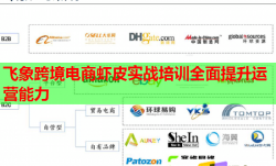 飞象跨境电商虾皮实战培训全面提升运营能力