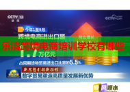 乐清跨境电商培训学校有哪些