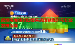 跨境电商培训助理实战技能提升与职业发展指南