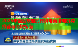 2025年最受欢迎的跨境电商培训机构推荐与比较指南