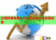 白银跨境电商全方位实战培训与发展指导