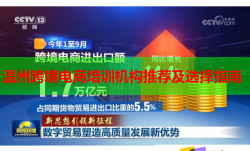 温州跨境电商培训机构推荐及选择指南