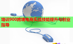 培训900跨境电商实战技能提升与创业指导