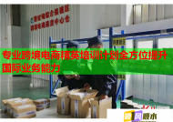 专业跨境电商精英培训计划全方位提升国际业务能力