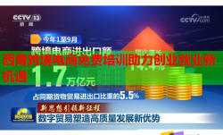 西青跨境电商免费培训助力创业就业新机遇