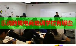 乐清跨境电商培训学校有哪些