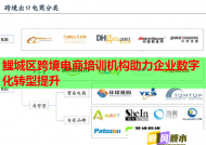 鲤城区跨境电商培训机构助力企业数字化转型提升
