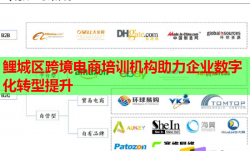 鲤城区跨境电商培训机构助力企业数字化转型提升