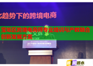 宝坻区跨境电商师专业培训与产教融合创新发展方案