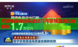 跨境电商培训实战技巧与抓捕案例深度解析