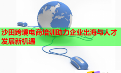 沙田跨境电商培训助力企业出海与人才发展新机遇