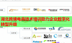 湖北跨境电商技术培训助力企业数字化转型升级