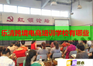 乐清跨境电商培训学校有哪些