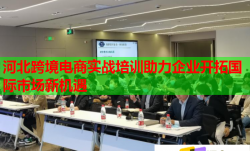 河北跨境电商实战培训助力企业开拓国际市场新机遇
