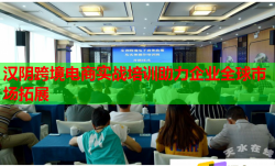 汉阴跨境电商实战培训助力企业全球市场拓展
