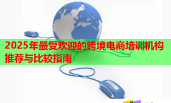2025年最受欢迎的跨境电商培训机构推荐与比较指南