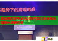 娄底市跨境电商培训机构助力企业拓展国际市场新机遇