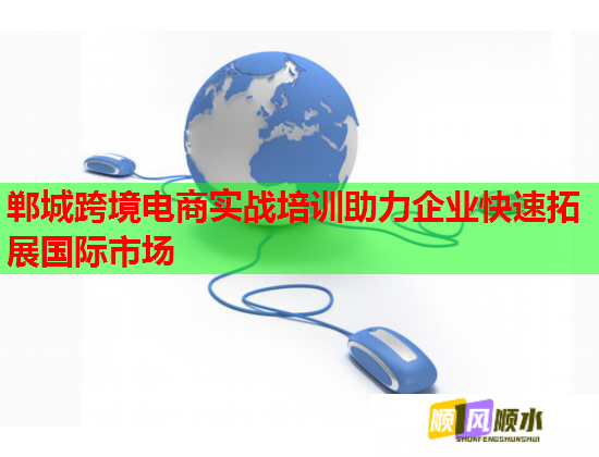 郸城跨境电商实战培训助力企业快速拓展国际市场  第3张