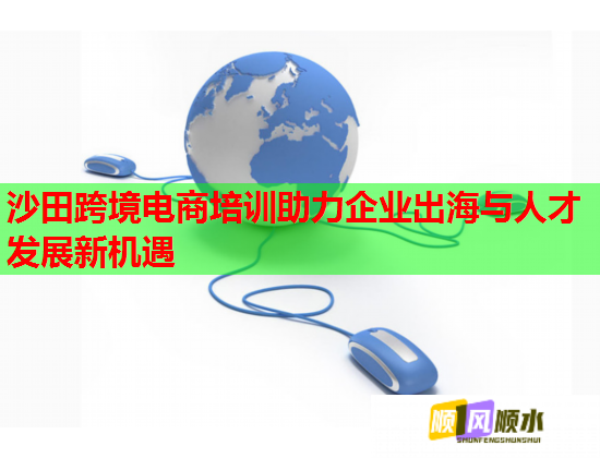 沙田跨境电商培训助力企业出海与人才发展新机遇  第1张