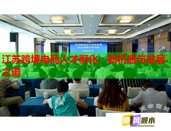 江苏跨境电商人才孵化：新机遇与发展之道  第1张