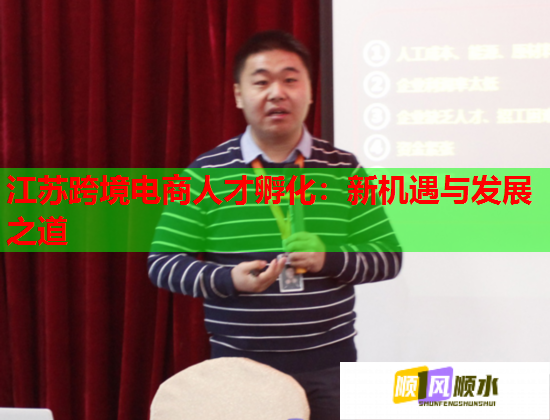江苏跨境电商人才孵化：新机遇与发展之道  第2张