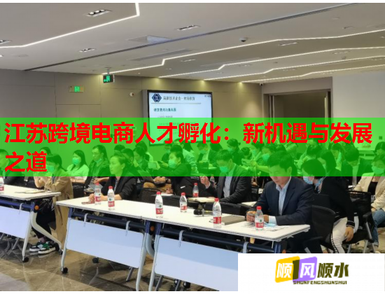 江苏跨境电商人才孵化：新机遇与发展之道  第3张