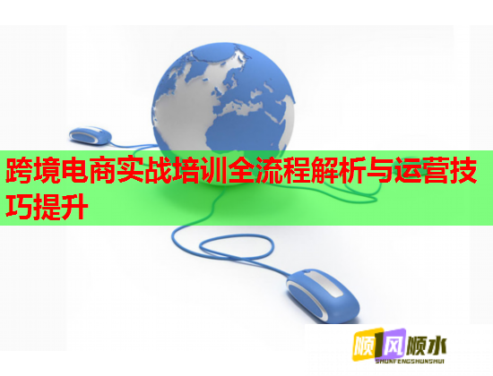 跨境电商实战培训全流程解析与运营技巧提升  第1张