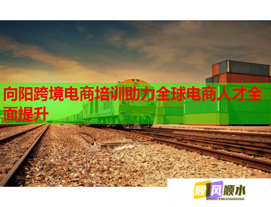 向阳跨境电商培训助力全球电商人才全面提升  第1张