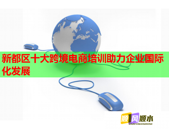 新都区十大跨境电商培训助力企业国际化发展  第1张