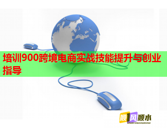 培训900跨境电商实战技能提升与创业指导  第1张