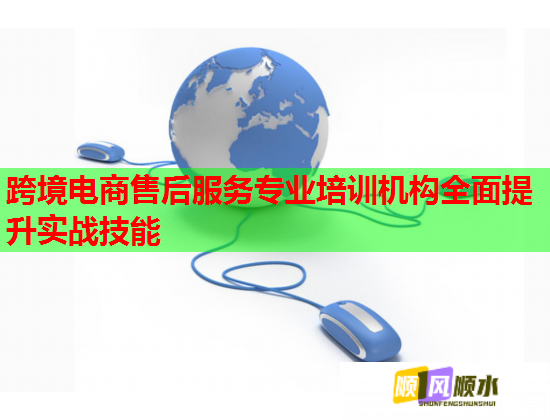 跨境电商售后服务专业培训机构全面提升实战技能  第1张