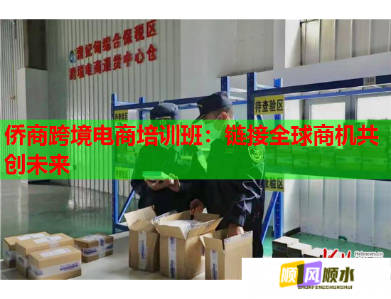 侨商跨境电商培训班：链接全球商机共创未来  第2张
