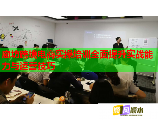 廊坊跨境电商实操培训全面提升实战能力与运营技巧  第1张