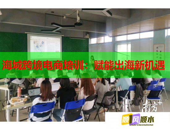 海城跨境电商培训:赋能出海新机遇 第2张 海城跨境电商培训:赋能出海新机遇 第2张