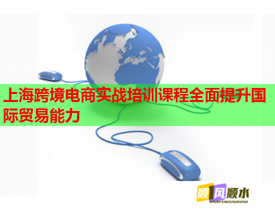 上海跨境电商实战培训课程全面提升国际贸易能力  第1张