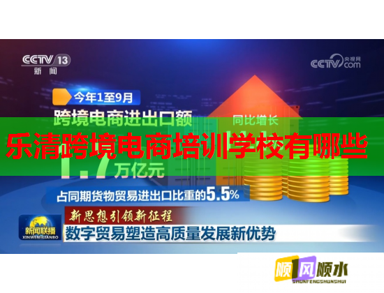 乐清跨境电商培训学校有哪些  第1张