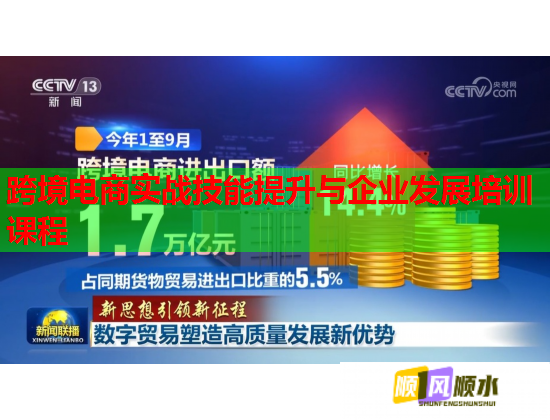 跨境电商实战技能提升与企业发展培训课程  第1张