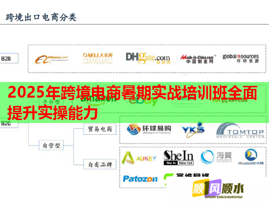 2025年跨境电商暑期实战培训班全面提升实操能力  第1张