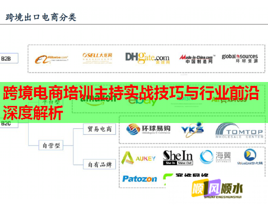 跨境电商培训主持实战技巧与行业前沿深度解析  第2张