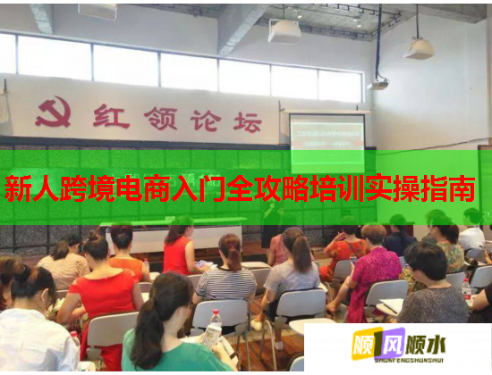 新人跨境电商入门全攻略培训实操指南  第2张