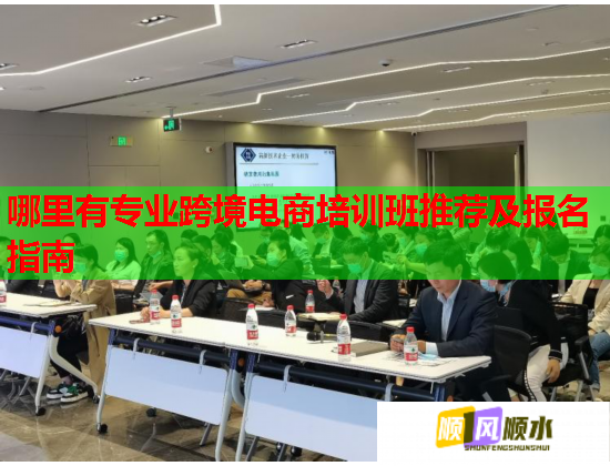 哪里有专业跨境电商培训班推荐及报名指南  第2张